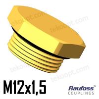 Заглушка M12 RAUFOSS 6237605